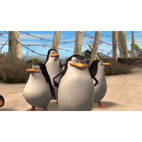 Madagascar 2 برای Xbox 360