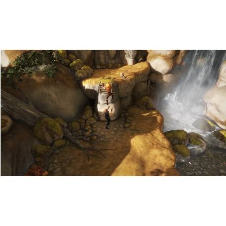 بازی آرکید Brothers A Tale of Two Sons برای Xbox 360 جیتگ