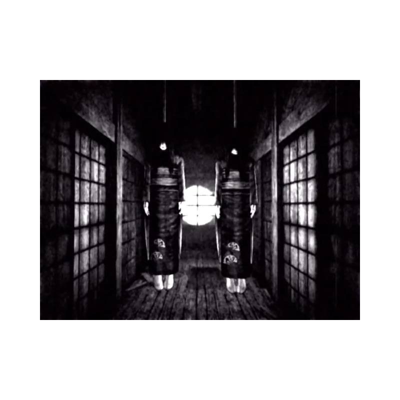 اسکرین شات(تصویر گیم پلی) بازی Fatal Frame II Crimson Butterfly برای PS2