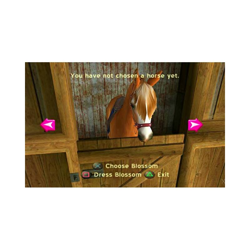 اسکرین شات (تصویر گیم پلی ) بازی Barbie Horse Adventures Wild Horse Rescue برای PS2