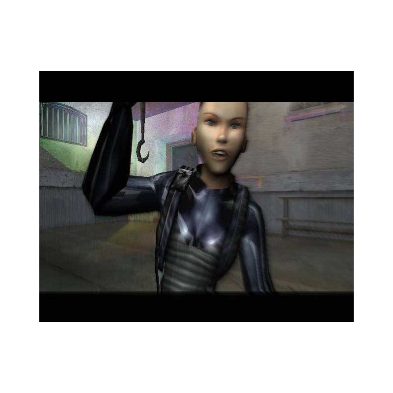 اسکرین شات(تصویر گیم پلی) بازی Cold Winter برای PS2