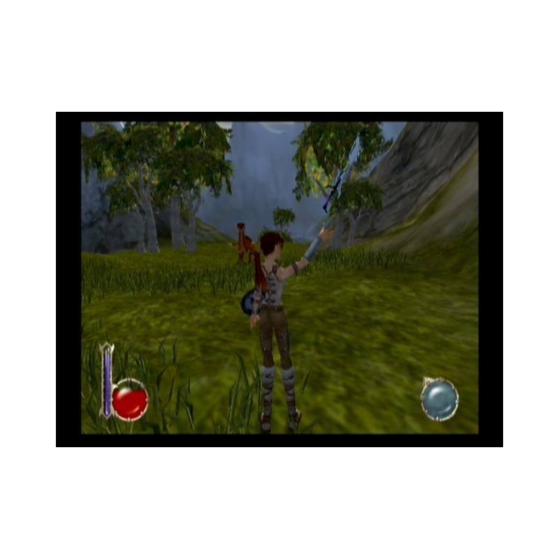 اسکرین شات(تصویر گیم پلی) بازی Drakan The Ancients' Gates برای PS2