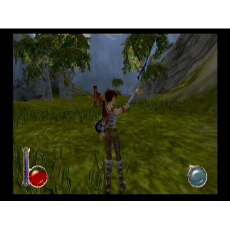 اسکرین شات(تصویر گیم پلی) بازی Drakan The Ancients' Gates برای PS2