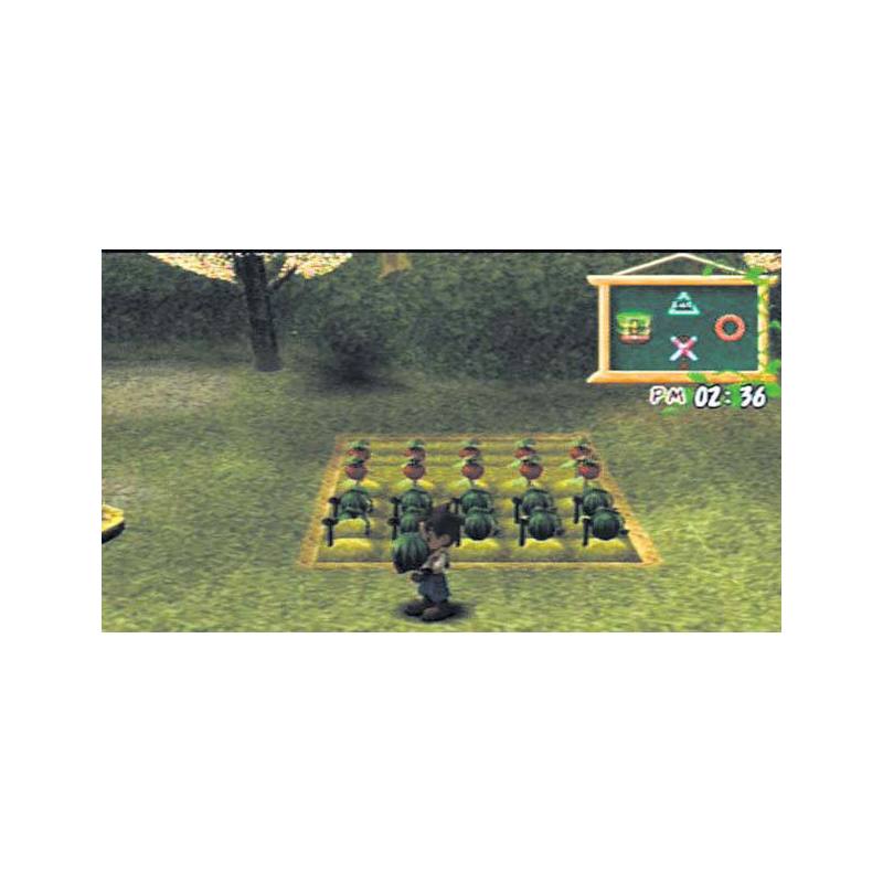 اسکرین شات(تصویر گیم پلی) بازی Harvest Moon A Wonderful Life (Special Edition) برای PS2