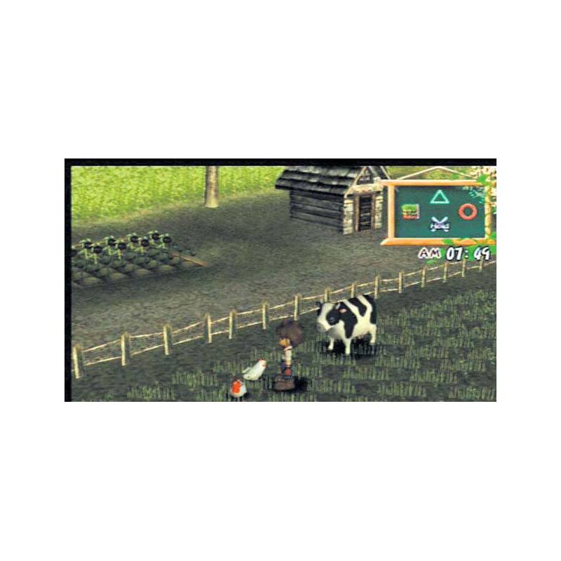 اسکرین شات(تصویر گیم پلی) بازی Harvest Moon A Wonderful Life (Special Edition) برای PS2