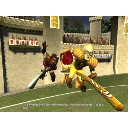 اسکرین شات(تصویر گیم پلی) بازی Harry Potter Quidditch World Cup برای PS2