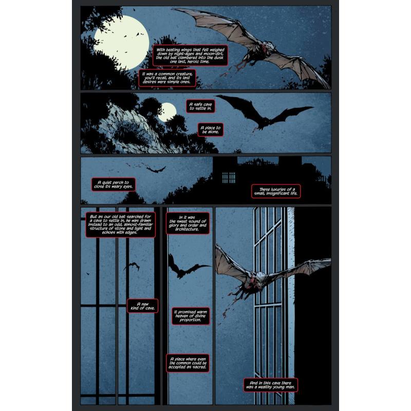 نمونه ی تصویر کمیک بوک Batman The Return (One Shot)