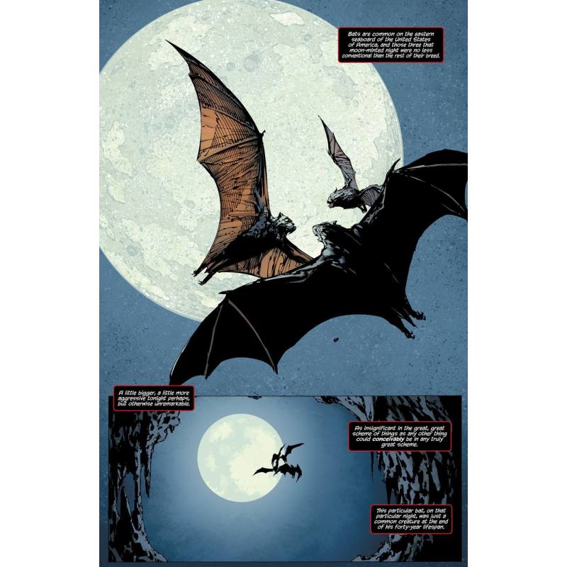 نمونه ی تصویر کمیک بوک Batman The Return (One Shot)