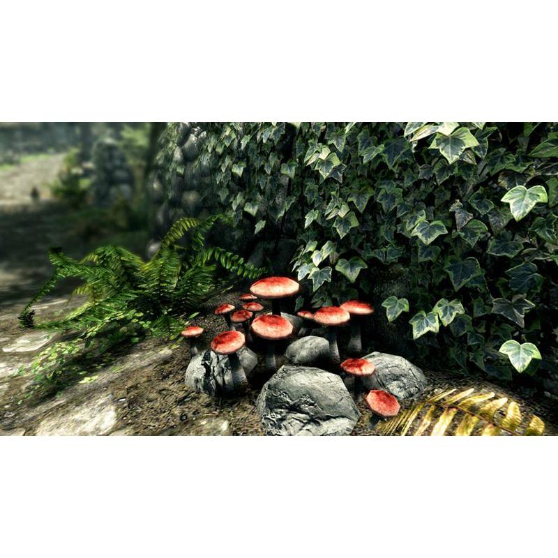 اسکرین شات (تصویر گیم پلی) بازی Skyrim Anniversary Edition برای PS4