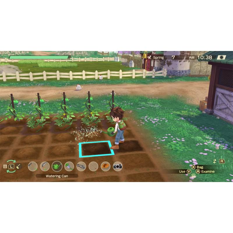 اسکرین شات (تصویر گیم پلی) بازی Story of Seasons a Wonderful Life نسخه نینتندو سوییچ (Nintendo Switch)