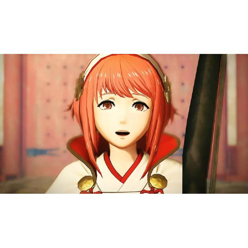 اسکرین شات (تصویر گیم پلی) بازی Fire Emblem Warriors نسخه نینتندو سوییچ (Nintendo Switch)