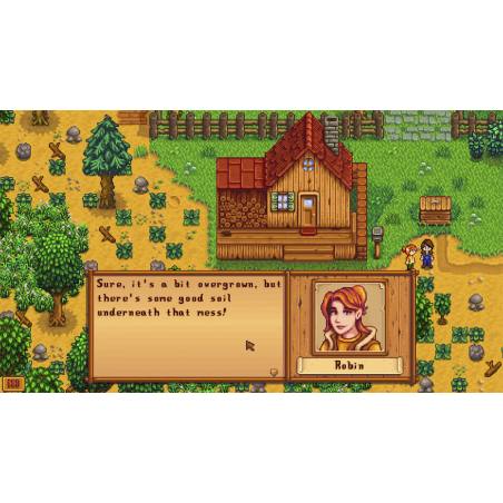 اسکرین شات (تصویر گیم پلی) بازی Stardew Valley نسخه نینتندو سوییچ (Nintendo Switch) تصویر شماره 2