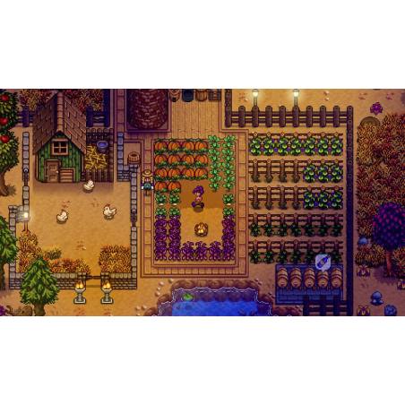 اسکرین شات (تصویر گیم پلی) بازی Stardew Valley نسخه نینتندو سوییچ (Nintendo Switch) تصویر شماره 6