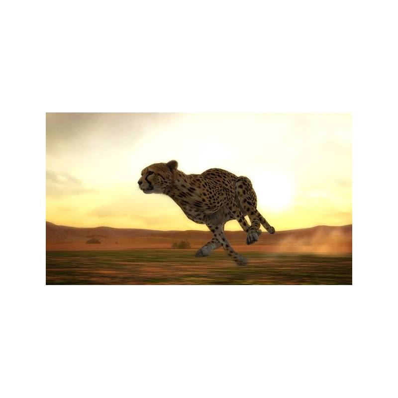 اسکرین شات و تصویر گیم پلی بازی Afrika نسخه PS3 تصویر 2