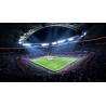اسکرین شات و تصویر گیم پلی بازی FIFA 19 نسخه PS3 تصویر 4 اسکرین شات و تصویر گیم پلی بازی FIFA 19 نسخه PS3 تصویر 4