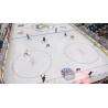 اسکرین شات و تصویر گیم پلی بازی NHL 09 نسخه PS3 تصویر 5 اسکرین شات و تصویر گیم پلی بازی NHL 09 نسخه PS3 تصویر 5