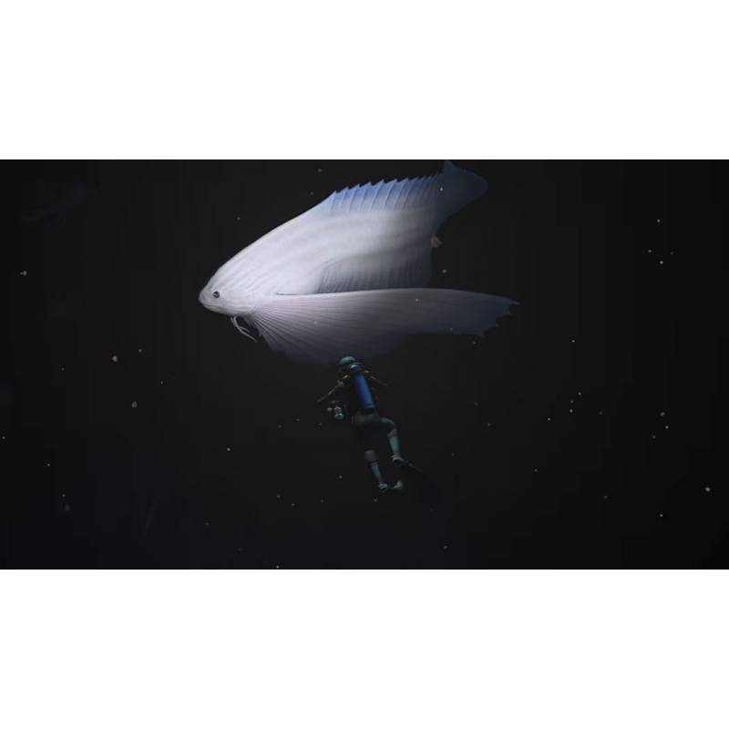 اسکرین شات (تصویر گیم پلی) بازی Endless Ocean Luminous نسخه نینتندو سوییچ (Nintendo Switch) تصویر 4