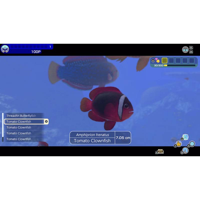 اسکرین شات (تصویر گیم پلی) بازی Endless Ocean Luminous نسخه نینتندو سوییچ (Nintendo Switch) تصویر 6