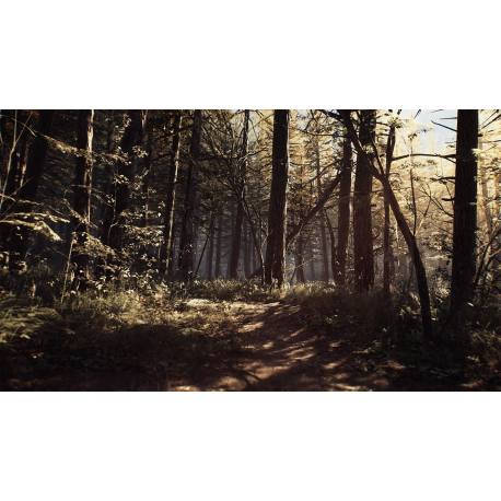 Blair Witch بازی PC