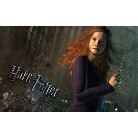 اسکرین شات و تصویر گیم پلی بازی Harry Potter and the Deathly Hallows Part 2 نسخه PS3 تصویر 1