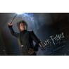 اسکرین شات و تصویر گیم پلی بازی Harry Potter and the Deathly Hallows Part 2 نسخه PS3 تصویر 2 اسکرین شات و تصویر گیم پلی بازی Harry Potter and the Deathly Hallows Part 2 نسخه PS3 تصویر 2