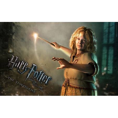 اسکرین شات و تصویر گیم پلی بازی Harry Potter and the Deathly Hallows Part 2 نسخه PS3 تصویر 3