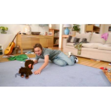 اسکرین شات و تصویر گیم پلی بازی EyePet Move Edition نسخه PS3 تصویر 4 اسکرین شات و تصویر گیم پلی بازی EyePet Move Edition نسخه PS3 تصویر 4
