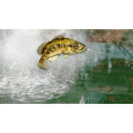 اسکرین‌شات و تصویر گیم‌پلی بازی Rapala Pro Bass Fishing نسخه PS3 تصویر 5