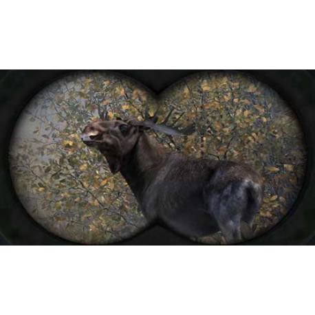 Cabela's BGH: Pro Hunts بازی Xbox 360