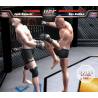 اسکرین شات و تصویر گیم پلی بازی UFC - Sudden Impact مربوط به PS2 (پلی استیشن 2) تصویر شماره 1