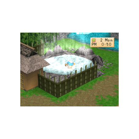 اسکرین شات و تصویر گیم‌پلی بازی Harvest Moon: Back to Nature مخصوص پلی استیشن وان (PS1) تصویر شماره 3