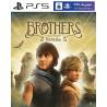 کاور بازی Brothers: A Tale of Two Sons مخصوص PS5 نسخه ی کنسول‌های کپیخور یا جیلبریک (Jailbreak)