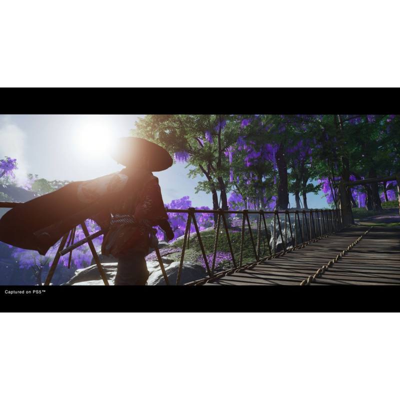 اسکرین شات و تصویر گیم پلی بازی Ghost of Tsushima: Director's Cut مخصوص Ps5 نسخه کپیخور تصویر 2