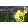 اسکرین شات و تصویر گیم پلی بازی Captain Tsubasa 2: World Fighters مخصوص Ps5 نسخه کپیخور تصویر 5