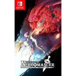کاور بازی Sword of the Necromancer Resurrection برای نینتندو سوییچ