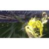 اسکرین شات (تصویر گیم پلی) بازی Captain Tsubasa 2 World Fighters نسخه نینتندو سوییچ (Nintendo Switch) تصویر 3