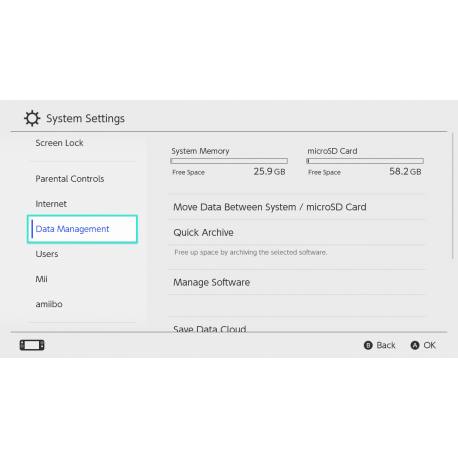 نینتندو سوییچ کپی خور (Nintendo Switch)
