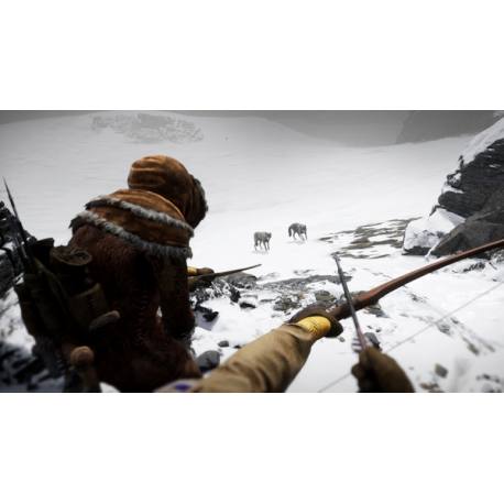 ICARUS برای کامپیوتر