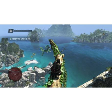 Assassins Creed IV Black Flag برای کامپیوتر