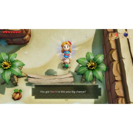 The Legend of Zelda: Links Awakening برای نینتندو سوییچ کرک شده