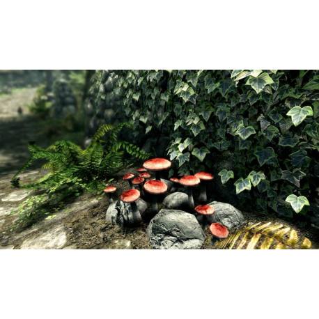 The Elder Scrolls V Skyrim برای نینتندو سوییچ کرک شده